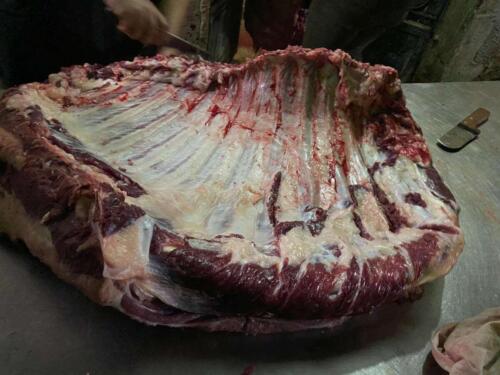 توزيع لحوم صدقة يوم عرفة 1441 هـ (2)