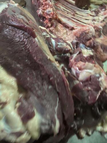 توزيع لحوم صدقة يوم عرفة 1441 هـ (8)