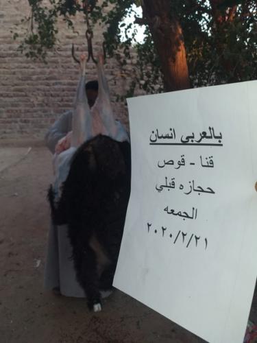 ذبائح طول العام_38