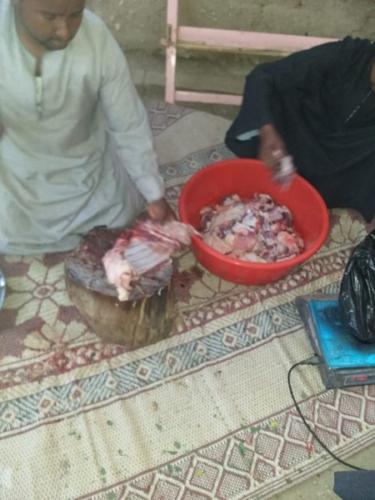 ذبائح طول العام_42