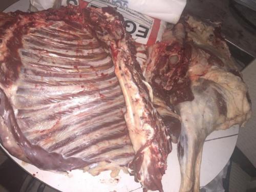 ذبائح عيد الأضحى 1439_12