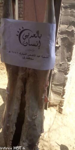 ذبائح عيد الأضحى 1441 هـ (132)