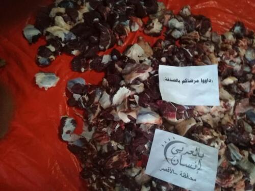 ذبح عجل - الأقصر - يوليو 2020 (3)