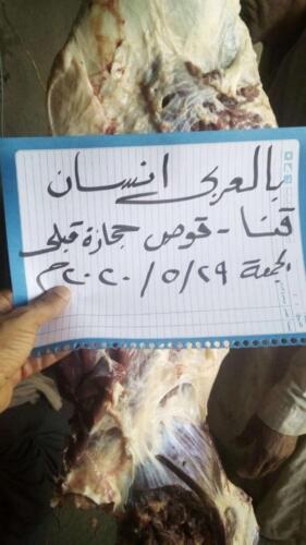 ذبح عجل - قنا - مايو 2020 (16)