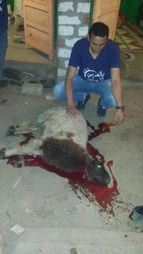 قاففلة عزبة السادات - الصف - 28 إبريل 2017_13