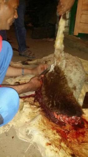 قاففلة عزبة السادات - الصف - 28 إبريل 2017_3