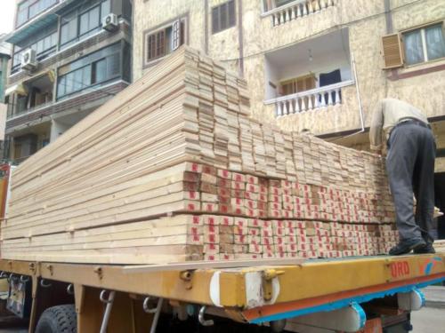 قافلة أسوان - 8 نوفمبر 2019_12