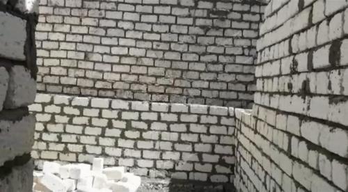 قافلة أسوان - 8 نوفمبر 2019_13