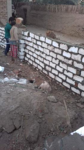 قافلة الأقصر - 2 فبراير 2018_14