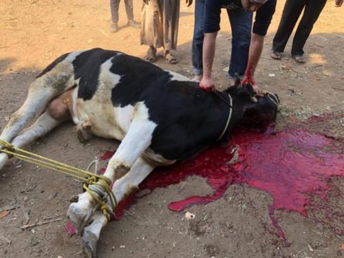 قافلة الأقصر - 2 فبراير 2018_20