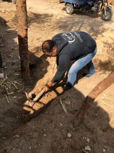 قافلة الأقصر - 2 فبراير 2018_27