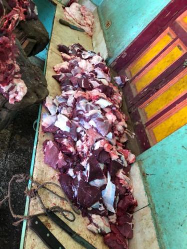 قافلة الأقصر - 2 فبراير 2018_78