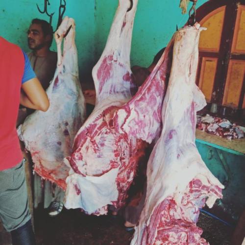 قافلة الأقصر - 21 يونيو 2019_37