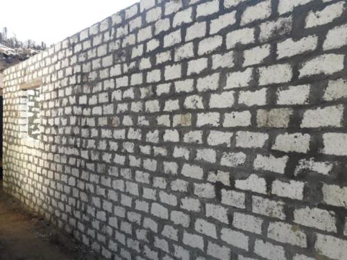 قافلة الأقصر - 31 يناير 2020_10