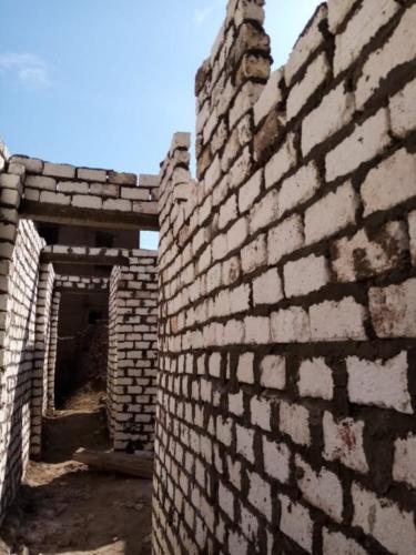 قافلة الأقصر - 31 يناير 2020_107