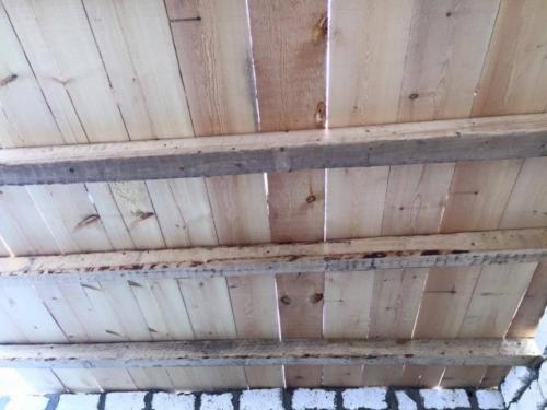 قافلة الفيوم - 4 ديسمبر 2015