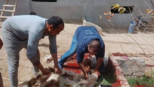 قافلة قنا - 22 مارس 2019_11