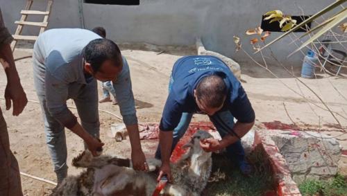 قافلة قنا - 22 مارس 2019_20