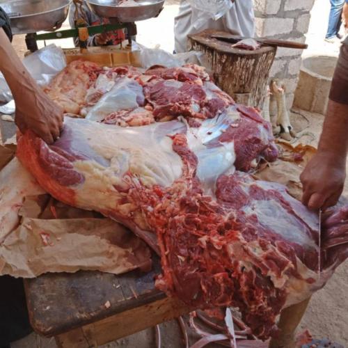 قافلة قنا - 22 مارس 2019_21