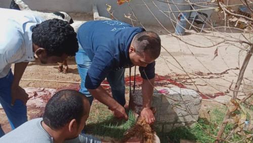 قافلة قنا - 22 مارس 2019_23