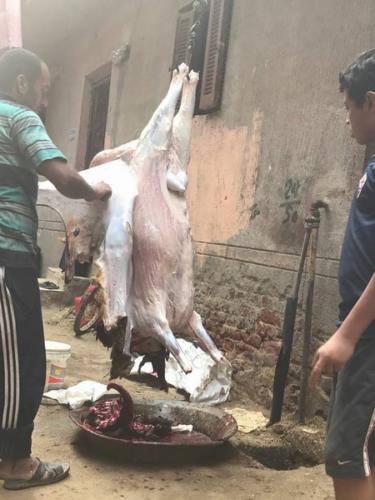 وجبات عرفة 1438 هـ_22